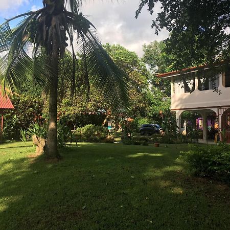 Casa Ballena Eco Hostel Uvita Luaran gambar