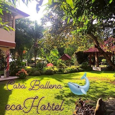 Casa Ballena Eco Hostel Uvita Luaran gambar