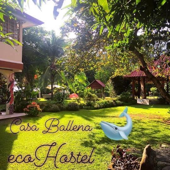 Casa Ballena Eco Hostel Uvita Luaran gambar